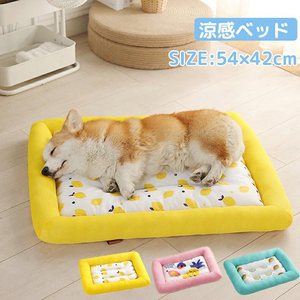 andantte 韓国犬用ベッド 730x530x150mm 犬 ベッド 犬用 ペット 猫