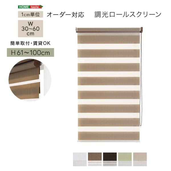 ロールスクリーン 調光 取付簡単 賃貸物件対応 目隠し おしゃれ カーテン ブラインド 1cm単位でオーダー可能 幅30～60cm×高さ61～100cm