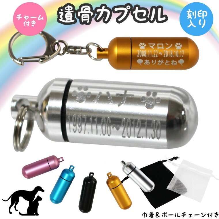 遺骨カプセル キーホルダー 刻印入 3行 (中) お守り袋＋ホルダーフック付き 名入れ イラスト ステンレス ガラス管 二重構造 ペット仏具 生活防水 カプセル ネックレス 犬 猫 ペット カロート 6,055円