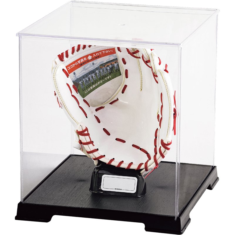 セパサイングラブダイ ケースセットWXR 野球ソフトグッズ その他 (bx8930)