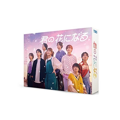 君の花になる DVD-BOX ／ 本田翼 (DVD) TCED-6870