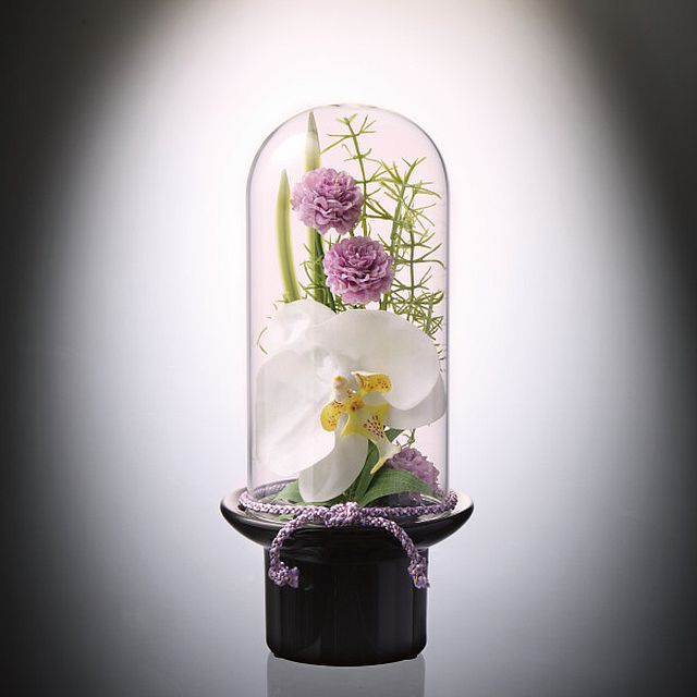 ガラスドーム供花 胡蝶蘭（造花）