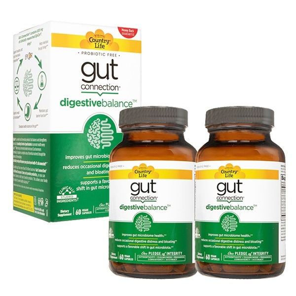 カントリーライフ ガットコネクションダイジェスティブバランス 60錠 2本 CountryLife Gut Connection Digestive Balance 海外発送 国際郵便発送