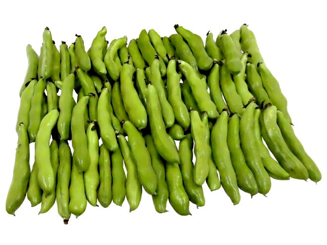 九州/和歌山産他 =一寸豆（そら豆）= 大粒Lサイズ 約4kg 予約 4月以降