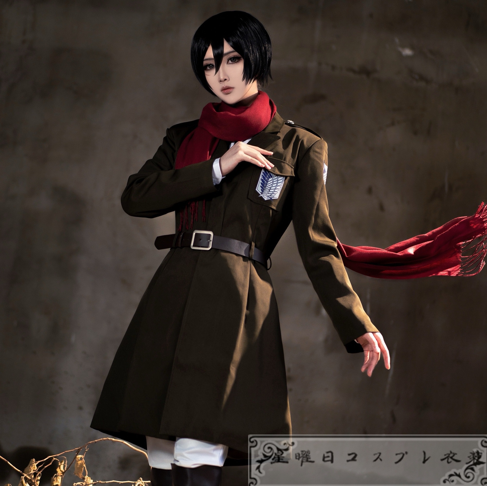 進撃の巨人 最終回 リヴァイアッカーマン リヴァイ コスプレ衣装 コスチューム ハロウィン 変装 仮装品質良い 店舗お勧め