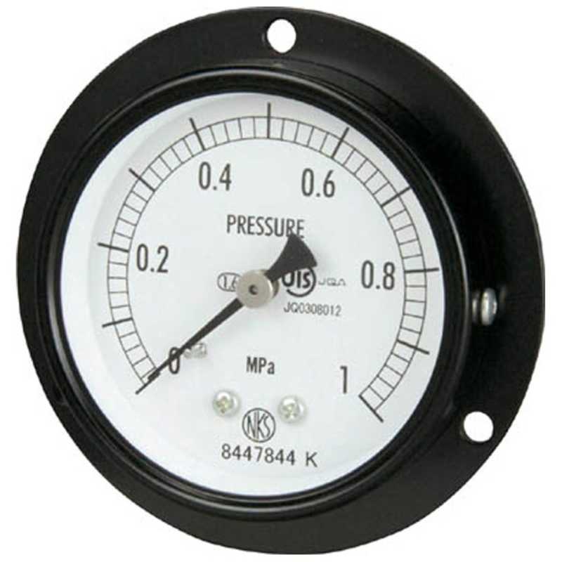 長野計器　普通形圧力計　AA152210.6MP