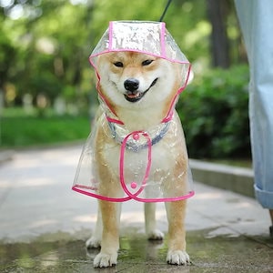 犬用透明防水コート,ペット服,犬のレインコート,子犬用のファッショナブルなひも,小