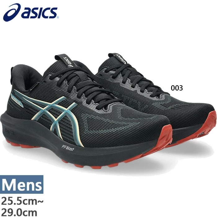 普通幅 メンズ GT-1000 14 ゴアテックス GTX ランニングシューズ ジョギング マラソン 防水 GORE-TEX 1011C078