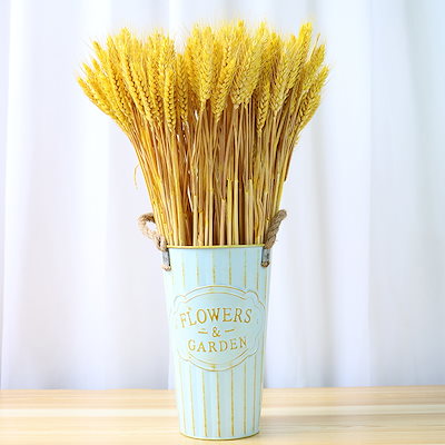 Qoo10] 天然 稲穂 麦穂 ゴールド 飾り イン : 家具・インテリア
