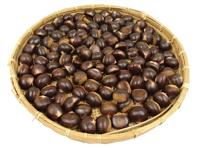 =利平栗= 秀品 大粒2L 約3kg 熊本産/愛媛産など 予約 9月下旬以降