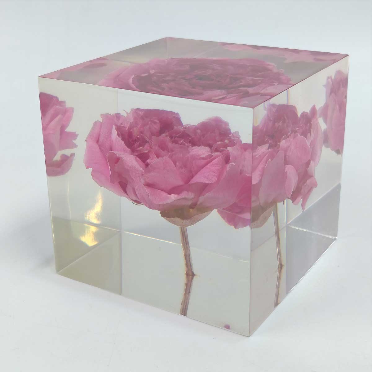 【中古】東信 あずままこと ブロックフラワー Block Flowers シャクヤク 芍薬 フラワーキューブ AMKK