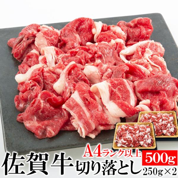 佐賀牛 A4ランク以上切り落とし 500g 厳選霜降り 国産和牛 牛肉 冷凍約500g 250gx2パック