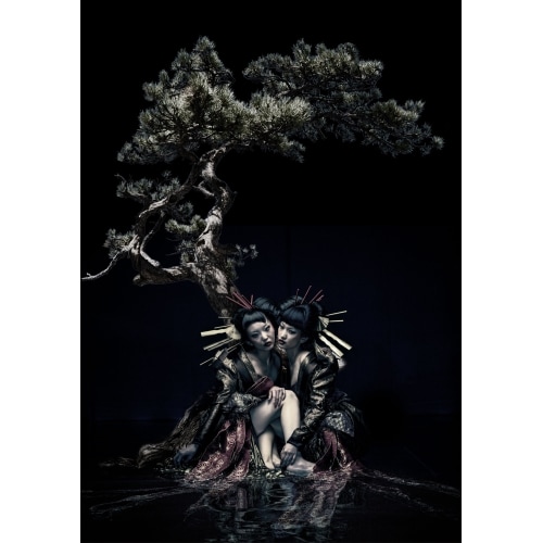 GazettE ／ the GazettE live tour 12-13[DIVISION]FIN.. (DVD) SRBL-1582