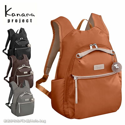 AMICSS DNA-ti 165 (22-23) +ソールカバー 【公式通販】