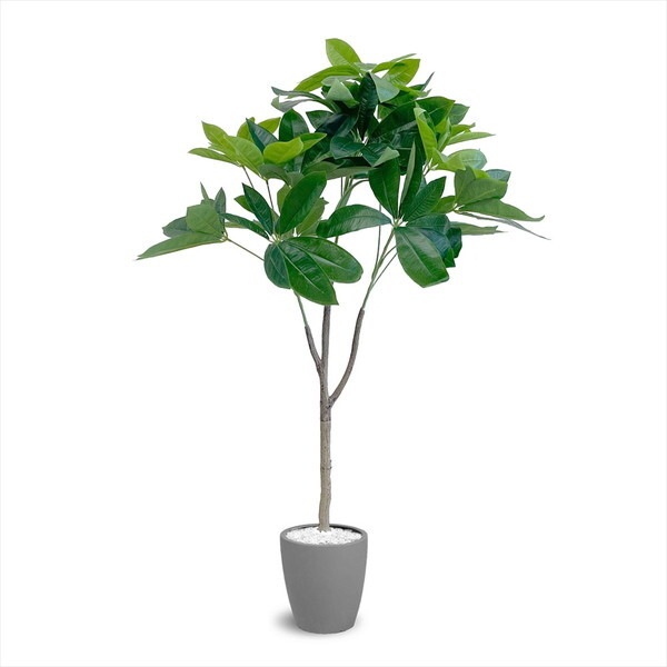 アーバン通商 フェイクグリーン パキラ 1200mm PAC-120GY グレー メーカー直送