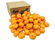 みかん 和歌山有田産 =田村みかん= 訳あり はなまる等級 約10kg 大きさおまかせ 予約 11月末以降