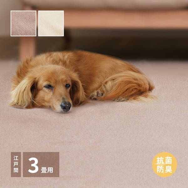 カーペット 抗菌ラグマット 絨毯 江戸間 3畳用 176x261cm ペット対応 やわらかパイル 抗菌 防臭 国産 日本製 裏面不織布貼り