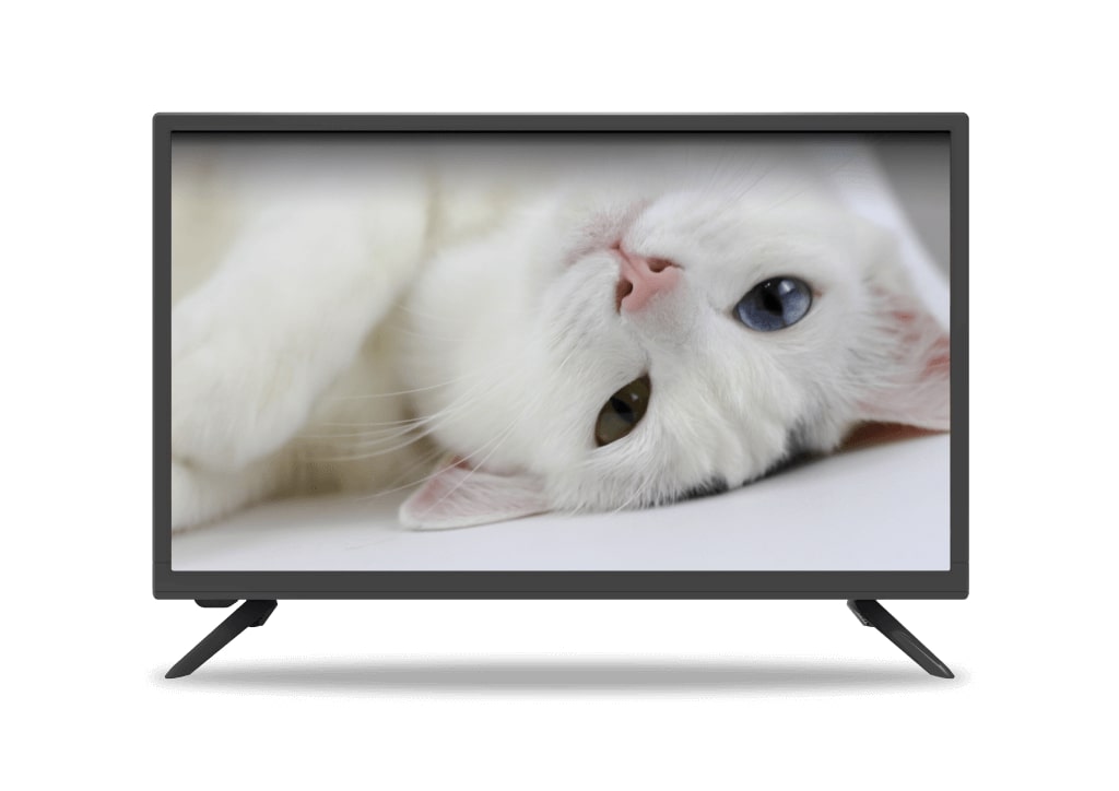 TV24 [24インチ]