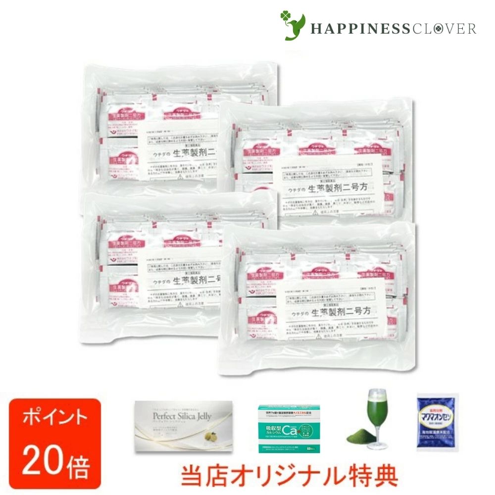 【選べるおまけ付き】【第2類医薬品】ウチダの生薬製剤二号方 240包 第2類医薬品 ウチダ和漢薬 頭痛 頭重 肩こり めまい 動悸