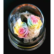 楽天ランキング1位】パステルレインボーローズ ガラスドームギフト