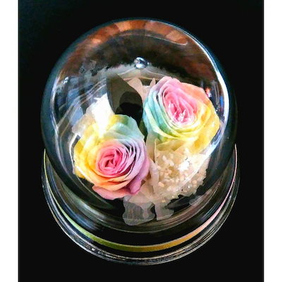 楽天ランキング1位】 パステルレインボーローズガラスドーム