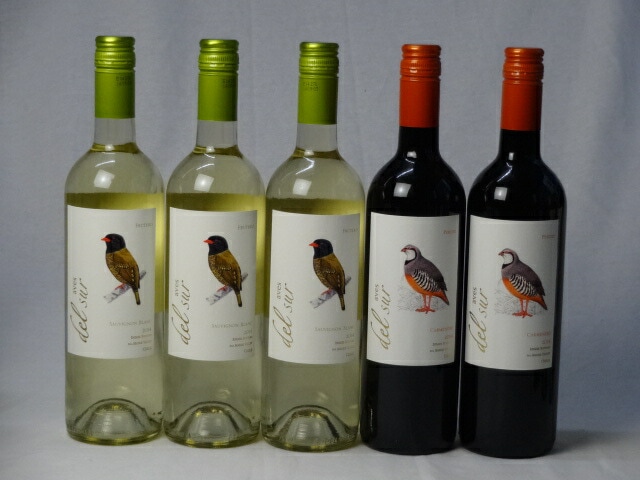 チリ白赤ワイン5本セット デルスール カルメネール ミディアムボディ2本 デルスール ソーヴィニヨ