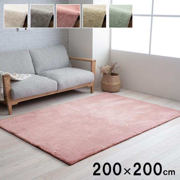 ラピアス カーペット 絨毯 無地ラグ ラグ リビング ふわふわラグ 抗菌防臭 フェイクファー 韓国 北欧 ホワイトインテリア こたつ敷き コンパクトRPAS200