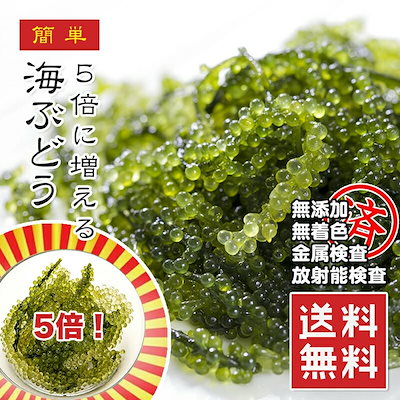海ぶどう 5倍に膨らむ大容量 x10パック 20袋 味で勝負...のサムネイル