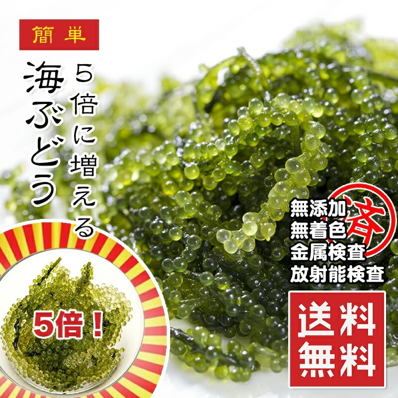 海ぶどう 5倍に膨らむ大容量 x10パック 20袋 味で勝負 ご当地グルメ 常温 メール便 送料無料