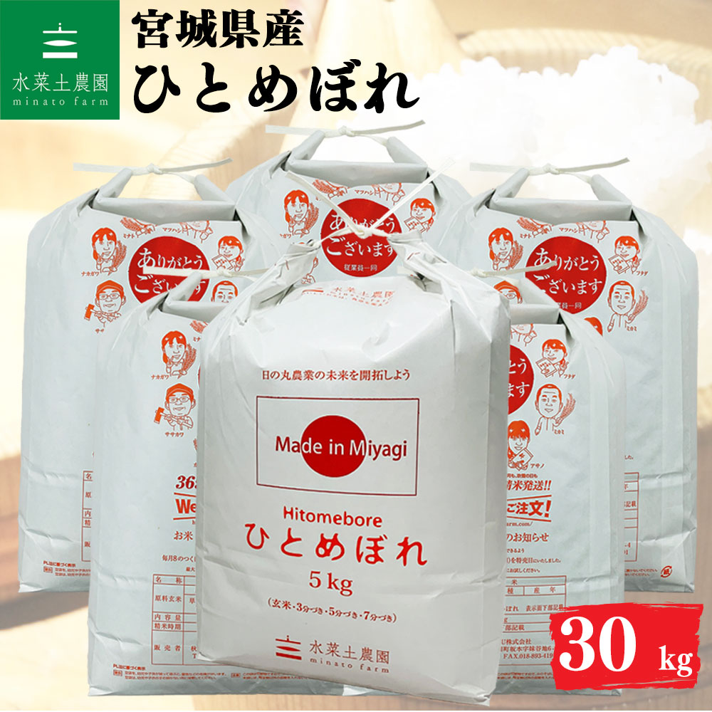 ひとめぼれ 精米 30kg 宮城県産 令和6年産 選べるお試し袋付き