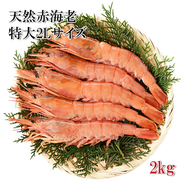 赤海老　2kg　Qoo10]　えび　天然　大型　生食用