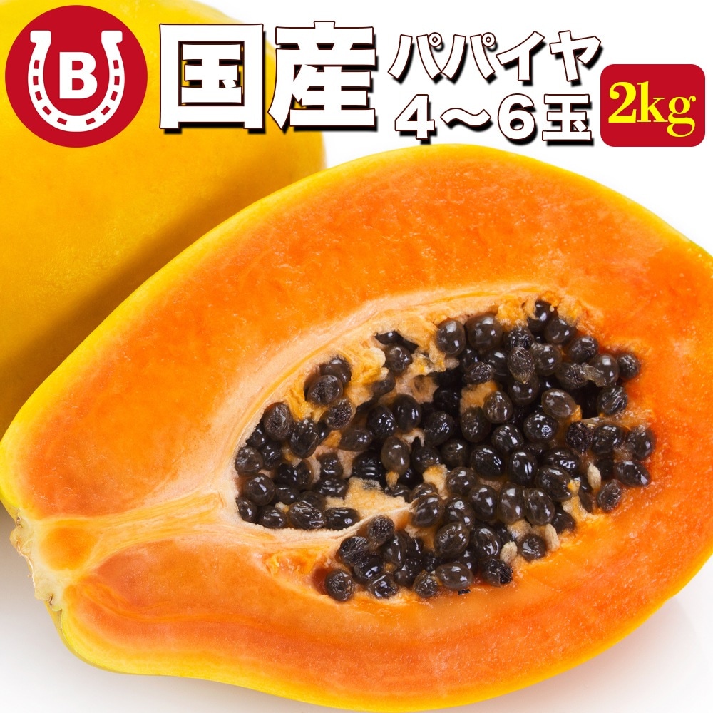 パパイヤ 国産 宮崎県 約2kg 4から6玉 サンライズソロ とろける甘さ 国産 パパイヤ 宮崎 大玉 国産パパイヤ パパイア トロピカルフルーツ フルーツ 宮崎パパイヤ