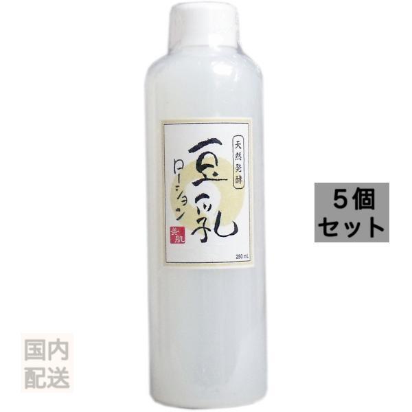 天然発酵 豆乳ローション 250mL x10個セット
