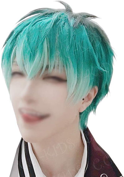 【即購入不可】ヒプノシスマイク 白膠木簓 コスプレ ウィッグ Qoo10] 白膠木簓（ぬるでささら） ヒプノシスマイ