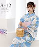 A-12