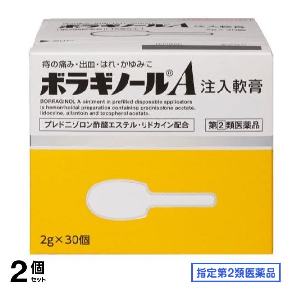 指定第２類医薬品 ボラギノールA注入軟膏 2g× 30個入 2個セット