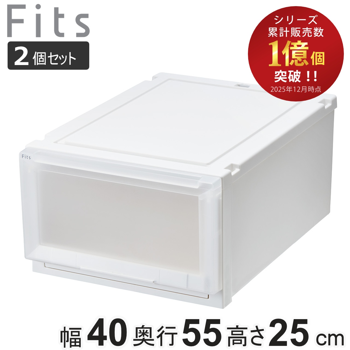 収納ケース 2個セット 幅40x奥行55x高さ25cm Fits フィッツアドバンス ケース 4025 クローゼット 収納 収納ボックス 日本製 プラスチック 衣装ケース 天馬 押し入れ