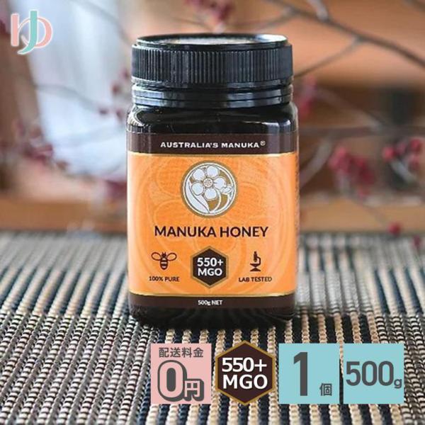 アクティブ マヌカハニー MGO550+ 500g 1個 マヌカハニー