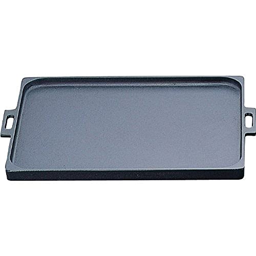 岩鋳 Iwachu オイルプレート どっしりくん 大 黒焼付 板厚7mm 直火用 南部鉄器 2301