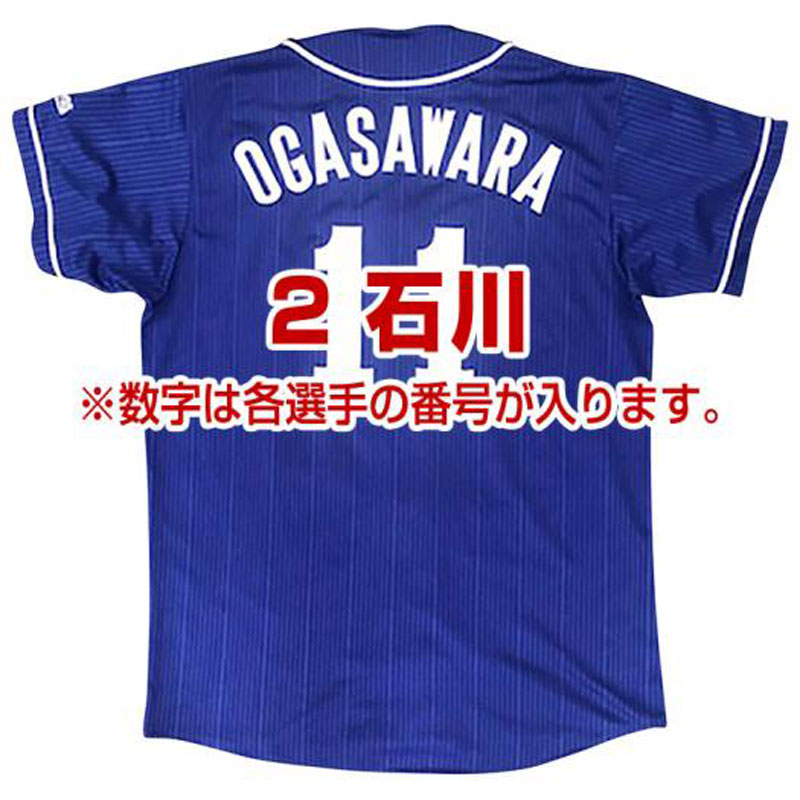 Dragonsレプリカユニフォーム(ビジター/番号/個人名有り) 野球 球団グッズ 中日ドラゴンズ (12JRMD33) 6,775円