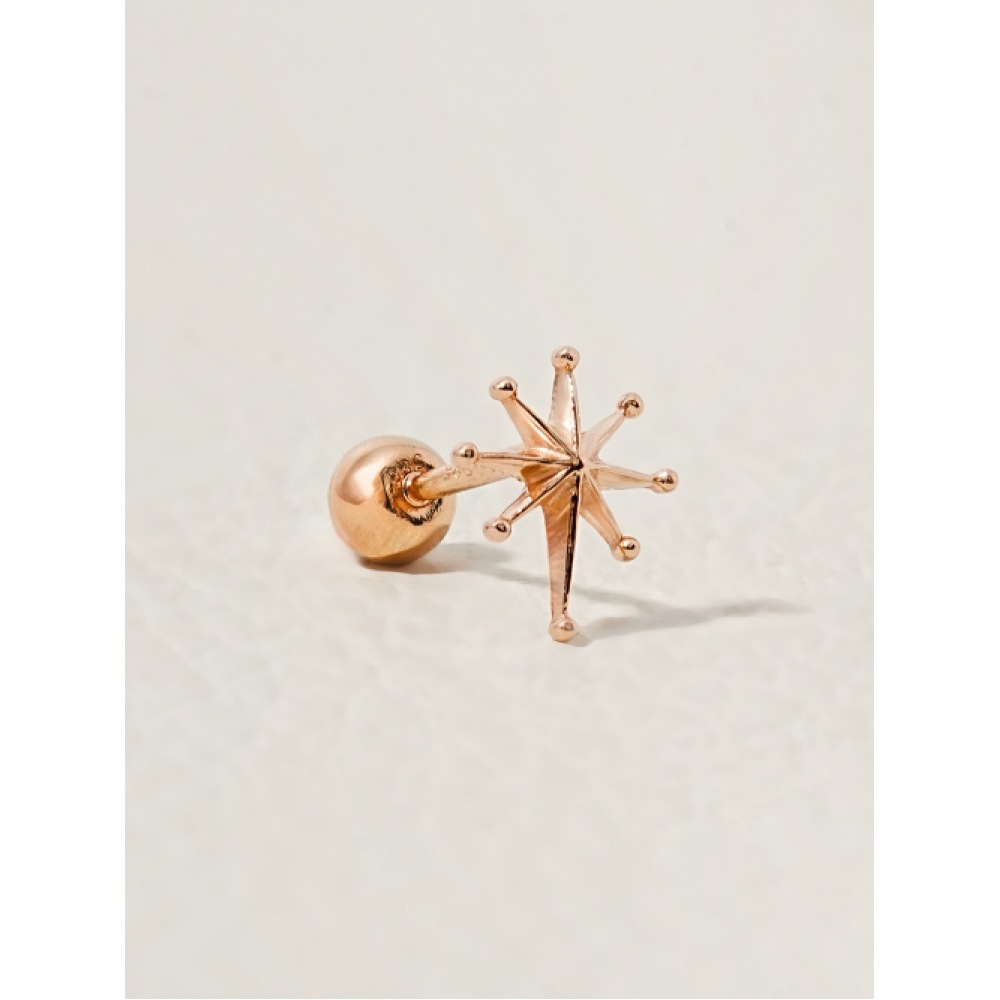 ミニマルピアス 14K ステラスパイクピアス