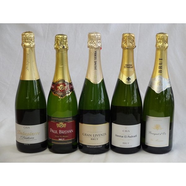 スパークリングワイン白辛口豪華5本セット ハウメセラ ブリュット スペインスパークリングワイン75