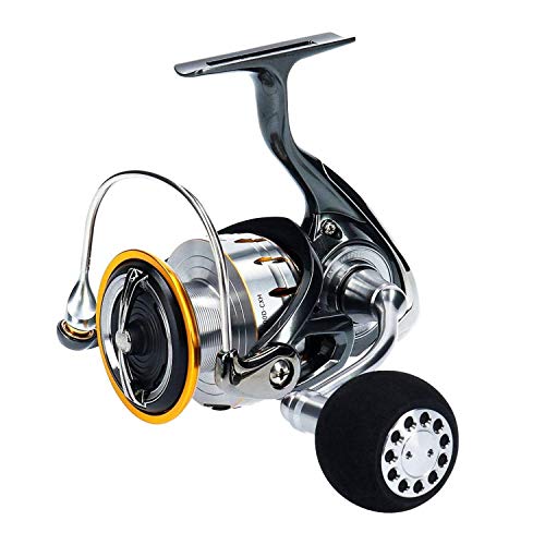 ダイワ(DAIWA) スピニングリール 18 ブラスト LT5000D-CXH(2018モデル) 18,194円