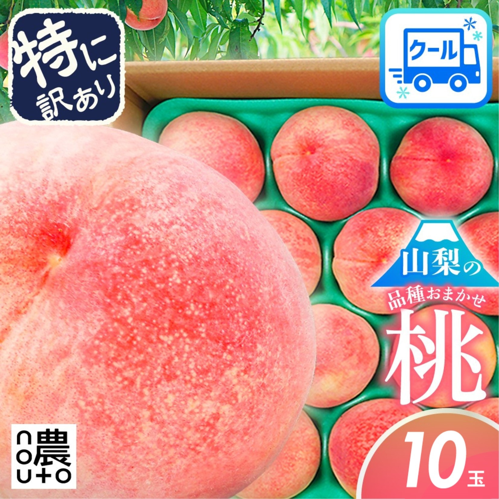 Qoo10] 桃 特に訳あり 10玉 (2.5~3.5