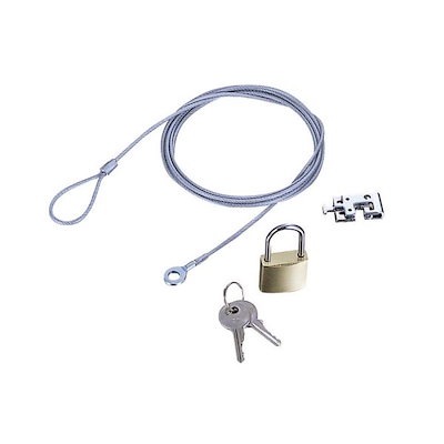 約6kg 北海道 羽幌 大きな真っ白なネオフィロセラスを含む群生 化石