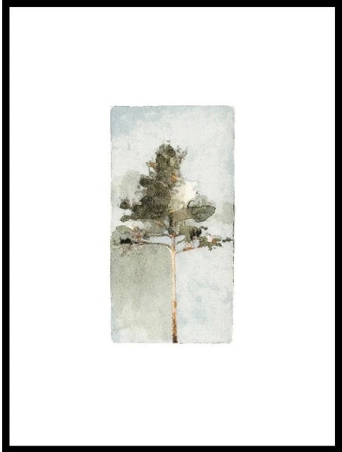 JORGEN HANSSON The Pine no.2