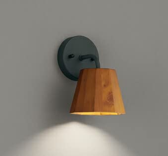 オーデリック ブラケット 【OB255364BR】【OB 255 364BR】