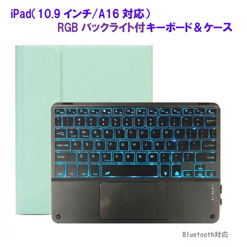 ROYALMONSTER　iPad(10.9インチ/A16対応)キーボード＆ケース MGR　RM-2221-109MGR
