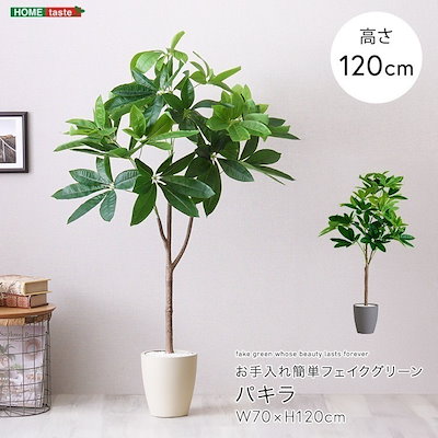 お手入れ簡単フェイクグリーン　パキラ　Sサイズ(120cm)