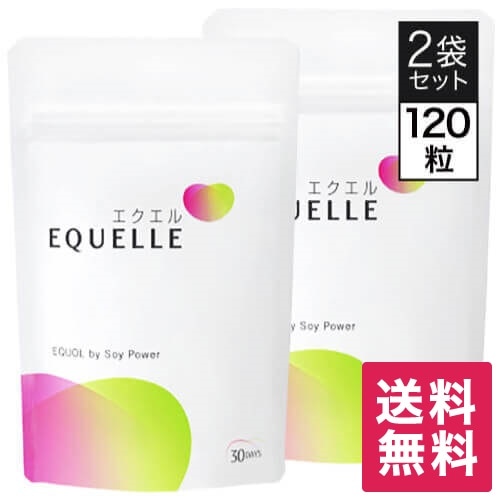 エクエル パウチ 120粒 2袋 大塚製薬